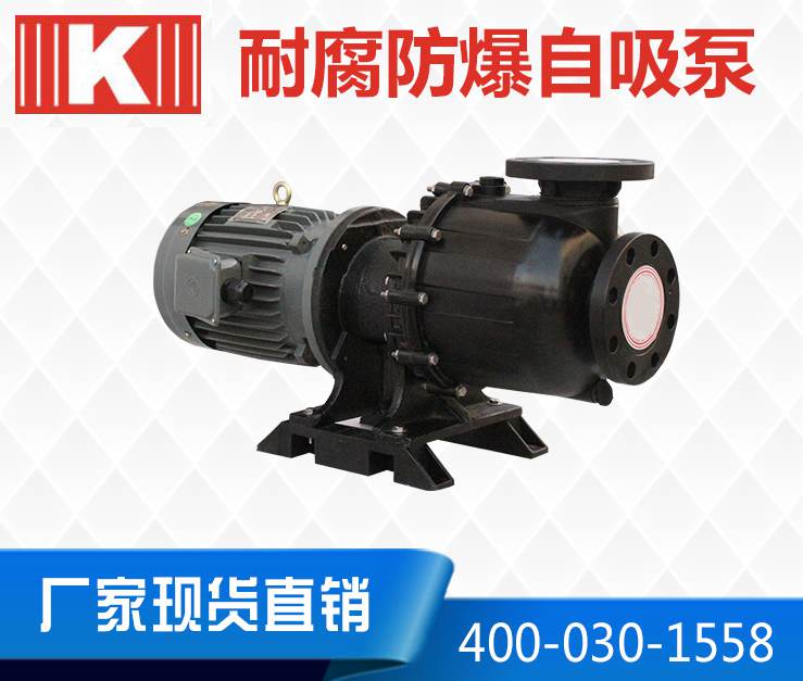 防爆耐酸堿自吸泵 防爆耐酸堿自吸泵