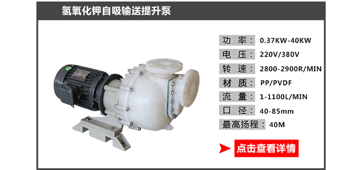 氫氧化鉀泵_05 氫氧化鉀泵_05